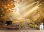 315x232cm Papier Peint Mural Mur Automne For  t Route Colle Non Inclus