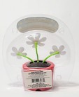 Solar Dancing Daisy Red Flower Pot White Triple Toy Daisies Gift Bobble Head New