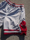 Vintage 90s Vtg Nike Team Sports Chicago Bulls Basketball Shorts Size 32 Medium 