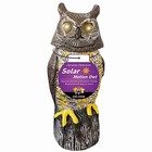 Solar Owl With Glowing Eyes  Rotating Head  Hoot Sound  Motion Detector And