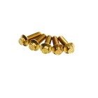 Gold 5 16 -18-1 0  Front Brake Rotor Bolts Kit For Harley Dyna Softail Touring