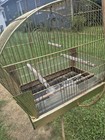 Vintage Bird Cage With Stand