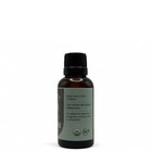 Arborvitae Essential Oil