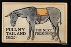 1908 William J  Bryan Pull Tail Mechanical Donkey Presidential Campaign Postcard