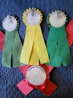 Woodville Necksash Horse Show Ribbons Awards Trailbusters 4-h Club Plush Pony