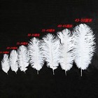 50 Pcs 1520cm White Real Natural Ostrich Feathers Bulk Wedding Party Decor