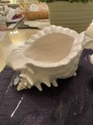 Vintage Atlantic White Mold Conch Shell  Planter Self Watering  W insert 2 Piece
