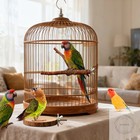 8 Pack Natural Wood Bird Perches  Parrot Perch Stand Bird Cage Accessories For B