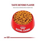 Royal Canin Canine Care Nutrition Large Weight Care Adult Dry Dog Food  30-lb