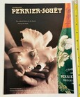 Vintage 2000 Perrier Jouet Champagne Flower Advertisement Print Ad