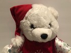 Walmart Christmas 2016 Snowflake White Teddy Bear Boy Dan Dee Red   Green Outfit