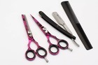 Professional Salon Hair Cutting Thinning Scissors Barber Shears Hairdressing Set