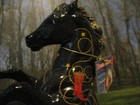 Breyer Bf 2013 Sr Classic Rearing Stallion Nocona With Handtag