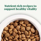 Choice Large Breed Puppy Dry Dog Food  Chicken And Brown Rice