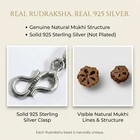 925 Sterling Silver Rudraksha Mala 5 Mukhi 6mm 54 Beads Certified