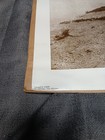 Edward S  Curtis Offering To The Sun Indian 18x24 Photo Print Poster