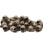 Binaryabc Mini Skull Figurine Miniature Skeleton Head Table Decor halloween   