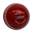 Gray Nicolls Cricket Ball Wonderball Red Junior