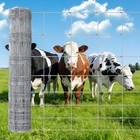 High-zinc Galvanized Fixed Knot Field Fence Roll - Heavy-duty Woven Wire Mesh