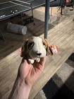 Tracker The Dog Ty Beanie Baby   Mint Heart   Tush Tag