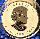 Horse Privy 2014 Canada Maple Leaf  5 Coin 1 Oz  999 Silver Reverse Proof Gem Bu