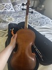 Beautiful Viola 