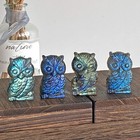1pc Natural Labradorite Quartz Carved Owl Skull Crystal Reiki Healing Gem Decor