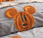 Pottery Barn Kids Disney Mickey Mouse And Friends Textured Halloween Comforter