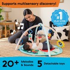 Baby Einstein Happy Harvest Touch   Feel Activity Gym