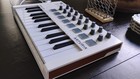 Arturia 230501 Minilab Mkii 25 Slim Keyboard Controller