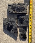 Nice Lot Of Rare Jurassic Dinosaur Age Fish Fossils Semionotus New Jersey 