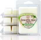 Eucalyptus Mint Scented Wax Melts - 24 Luxe Melt Cubes For Lasting Freshness
