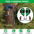 Tree Spikes Steel Tree Climbing Gear Adjustable Height Pole W 2 Climbing Spurs
