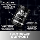 100  L-glutamine Powder For Enhanced Muscle Recovery - Pure L Glutamine Muscle