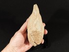 Big  One Million Year Old Early Stone Age Acheulean Hand Axe From Algeria 899gr