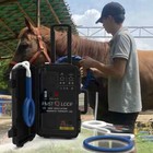 Equine Physio Magneto Pemf Machine Physio Therapy Pmst Loop Horses Pain Relief