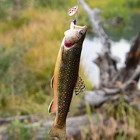 10pcs Spinner Spoon Metal Sink Fishing Lures Hard Bait Artificial Bait