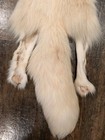 Rare Ranch Pink Fox Hide Pelt Freshly Tanned  Luxurious Fur 4 Legs