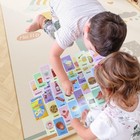 Flash Cards For Toddlers  Educational Learning Set Of 144  Body Animal Food F   