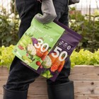 Seeds Pouch - 50 Varieties Of Herb  Flower   Vegetable Seeds For Planting