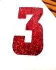  glitter  Numbers - Iron On Transfer For T-shirt   Other Fabrics-large- 3 Sizes