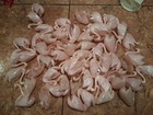Huge 100  Lot Vintage Cake Cupcake Toppers Holidays Wedding Graduation 1960s