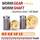 Gear Copper Worm Wheel Gear   Worm Gear Shaft 0 5 0 8 1 1 5 Module 20t To 60t 