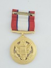 Iran-iraq War U s  Army Distinguished Service Mcmxviii Medal Graco Gi