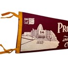 1960 s Vintage Nfl Pro Football Hall Of Fame Full Size Pennant Canton Ohio 26 5   