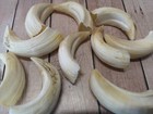 Top Real Wild Boar Teeth Wild Boar Teeth Haderer New And Professional