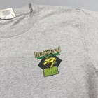 Vintage South Florida Bulls Shirt Mens Large Gray Ncaa Football Lee Sport 1997