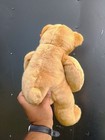 Vtg 2000 Animal Alley Toys R Us 12  Sitting Teddy Bear Plush Tan Stuffed Animal