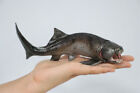 Pnso Dunkleosteus Zaha Model Prehistoric Dinosaur Figure Animal Collector Toy