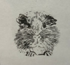 Custom Pet Portrait Stamp Self Ink Figure Seal Personalized Cat Dog Memory Photo